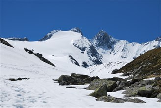 Reichenspitze and Gabler above Wildgerloskees glacier in spring with ski tracks