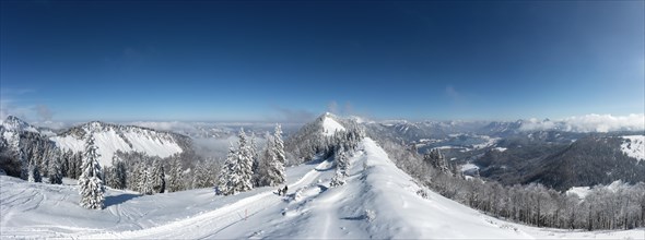 Winter landscape covered in deep snow in the Osterhorn group with a view from Pillstein to Zwoelferhorn and Wolfgangsee