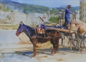 Peasant with a horse cart