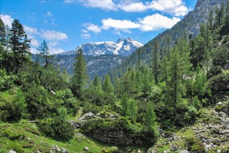 Wilderness in the Berchtesgaden National Park