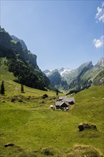 Steep mountains and alpine pasture