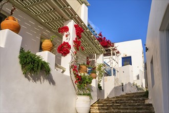 Traditional Greek island town alleyway with whitewashed walls