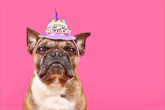 Fawn French Bulldog dog wearing birthday cake party hat with 'Happy Birthday' text on pink background