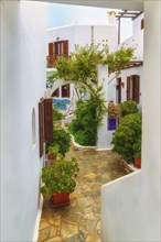 Beautiful small patio in traditional Greek style with whitewashed walls