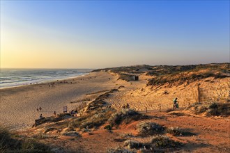 Coastline with dunes and beach