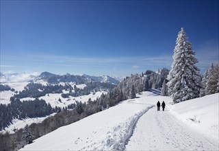 Hiking trail in the deep snow-covered winter landscape from the Zwoelferhorn to the Pillstein
