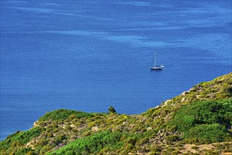 Single sailboat in calm blue sea and green hill in foregrounds