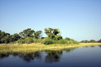 Landscape in the Okavango Delta