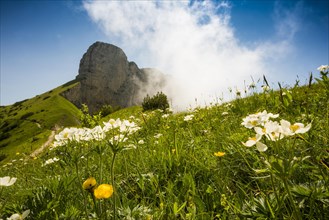 Steep mountains and clouds and flower meadow
