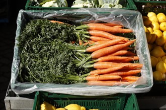 Carrots in a box on a market stall