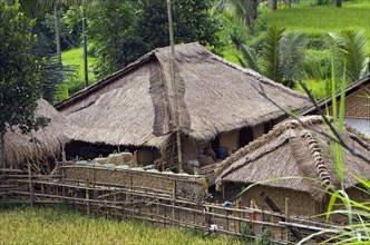 Traditional hut village with grass roofs
