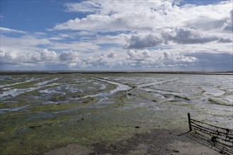 Wadden Sea at low tide
