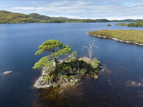 Aerial view of the freshwater loch Loch Assynt with a small island of trees