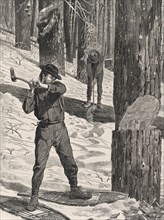 Woodcutter working in the forest in winter