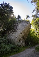 Satzstein natural monument near Hintersee