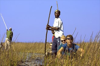 Tourists on a mokoro boat in the reeds