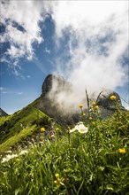 Steep mountains and clouds and flower meadow