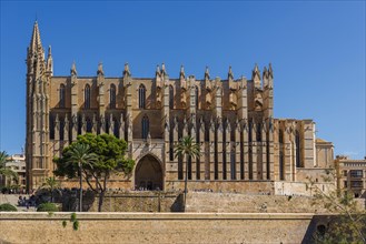 Palma Cathedral in Majorca