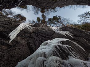 Icicles in gorge with trees against sky