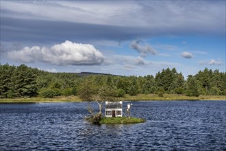 Small house called The Wee House on an island in Loch Shin