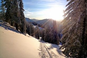 Ski tour in high winter