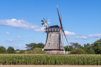 Windmill in Oldsum