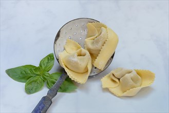 Freshly prepared tortelloni in a sieve ladle