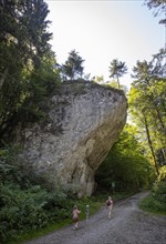 Hikers standing in front of the natural monument Satzstein near Hintersee