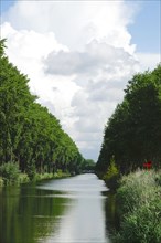 On the canal from Bruges to Sluis