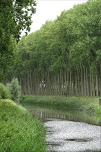 On the canal from Bruges to Sluis
