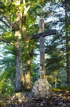 Summit cross in the deciduous forest on the Gurlspitze