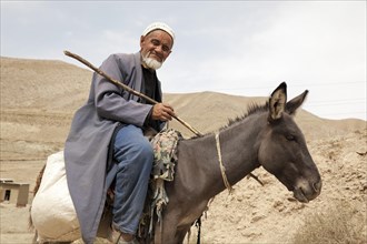 Old Uzbek man riding a donkey