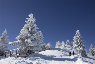 Deep snowy winter landscape on the Zwoelferhorn with ski tourers