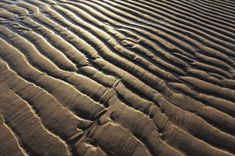 Sandy beach beach with wavy lines