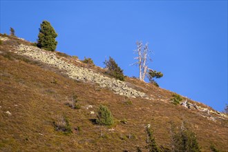 Mountain landscape with boulder heaps