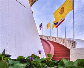 Row of Thai national