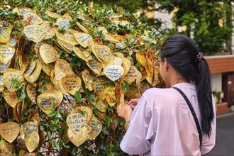 Buddhist golden leaves with wishes and blessings on Bodhi tree in selective focus foreground