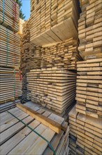 Stacks of boards in a sawmill