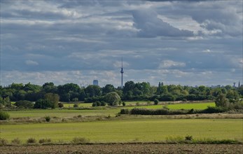 View of the television tower from Blankenfelder Chaussee