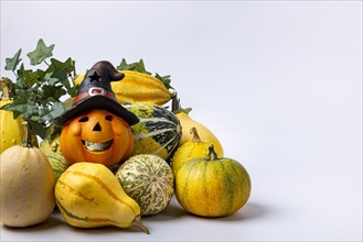 Various decorative pumpkins with ivy vine and Halloween decoration