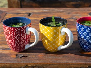 Fresh mint tea in colourful cups