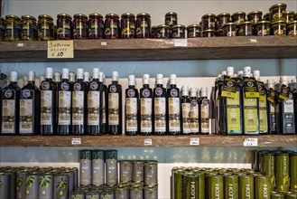 High quality olive oil in a shop for sale