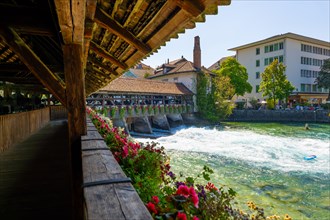 River Aare in City of Thun and Untere Schleuse Wooden Bridge in a Sunny Summer Day in Thun