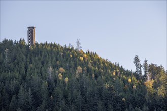 Lookout tower on the Buchkopf on an autumn day