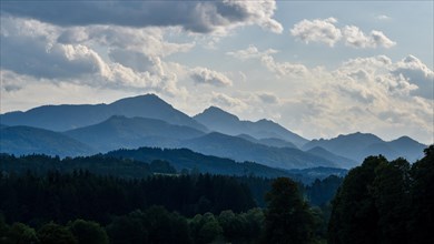 View of the forests in the Alpine foothills in Chiemgau with Hochfelln and Hochgern