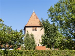 Old town tower