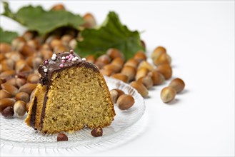 Piece of cake on glass plate