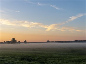 Fog over the wide meadows
