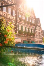 Fountains and half-timbered houses in the sunlight