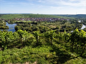 View from Vogelsburg Castle on the Main Loop